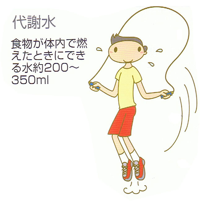 代謝水