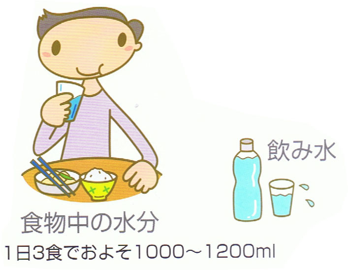 飲み水・食物中の水分