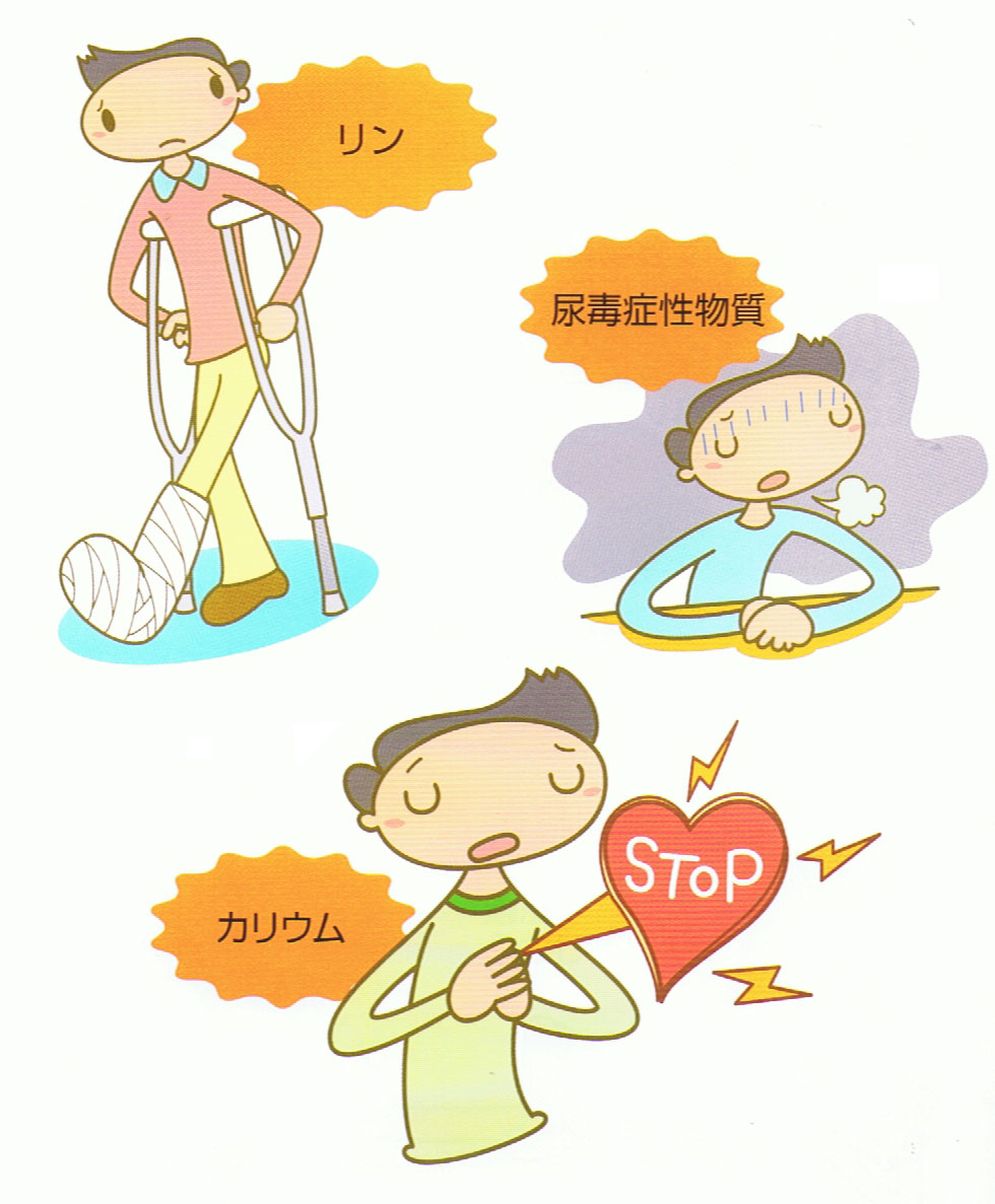 タンパク質の取りすぎに注意